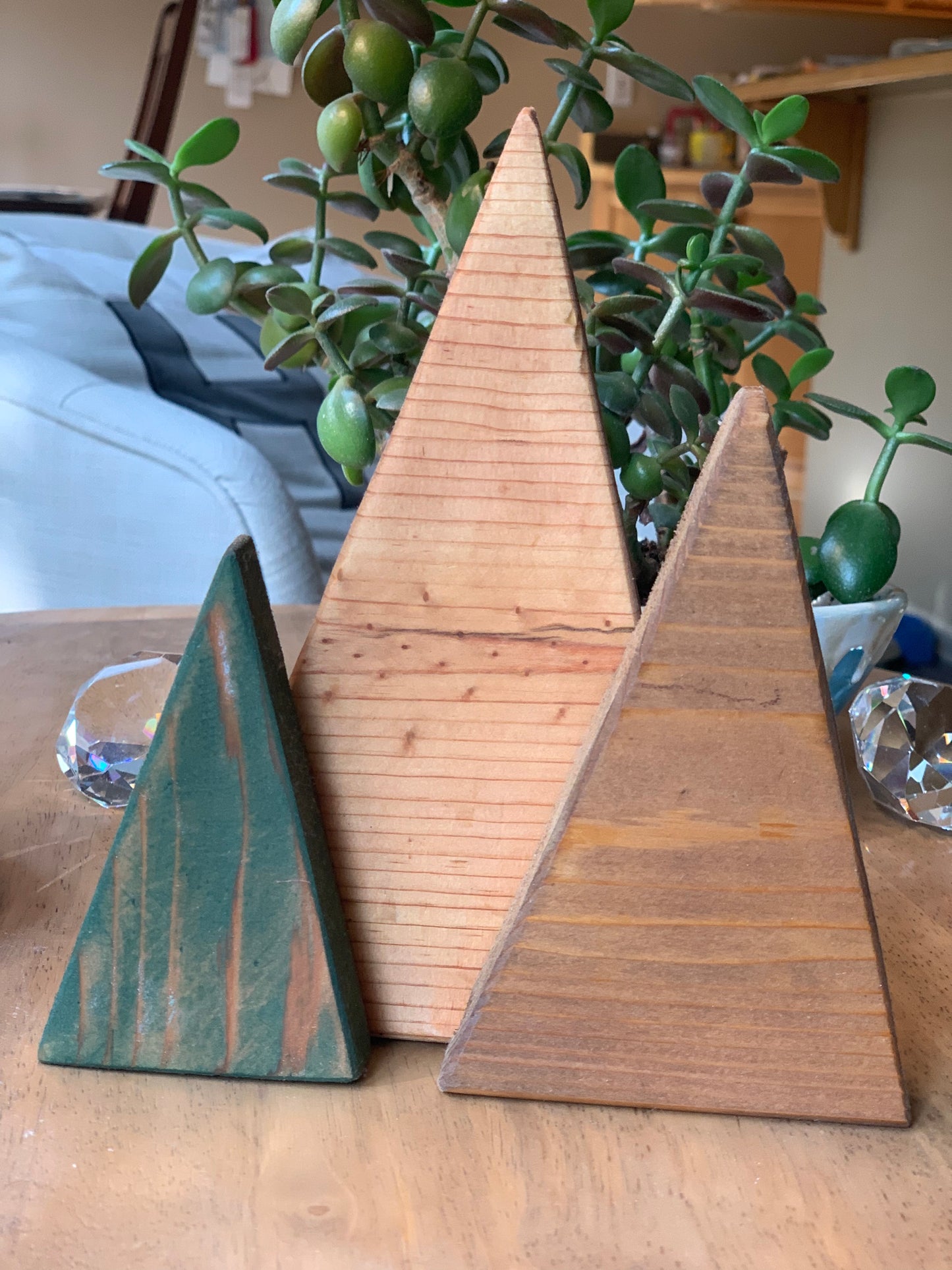 Wood trees shelf decor